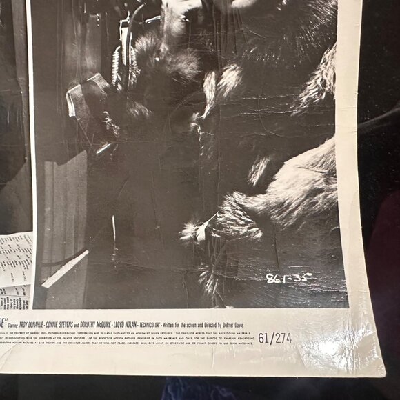 Vintage 1961 Warner Bros "Susan Slade" Movie Still Photo Featuring Connie Steven - Picture 8 of 13